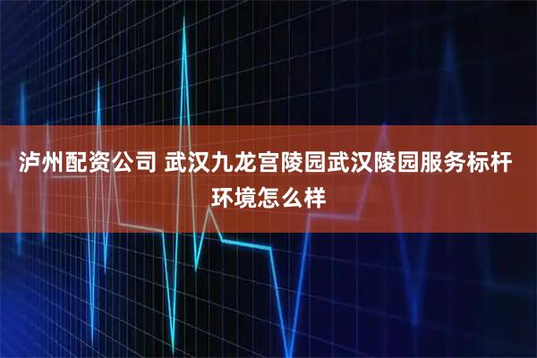 泸州配资公司 武汉九龙宫陵园武汉陵园服务标杆 环境怎么样